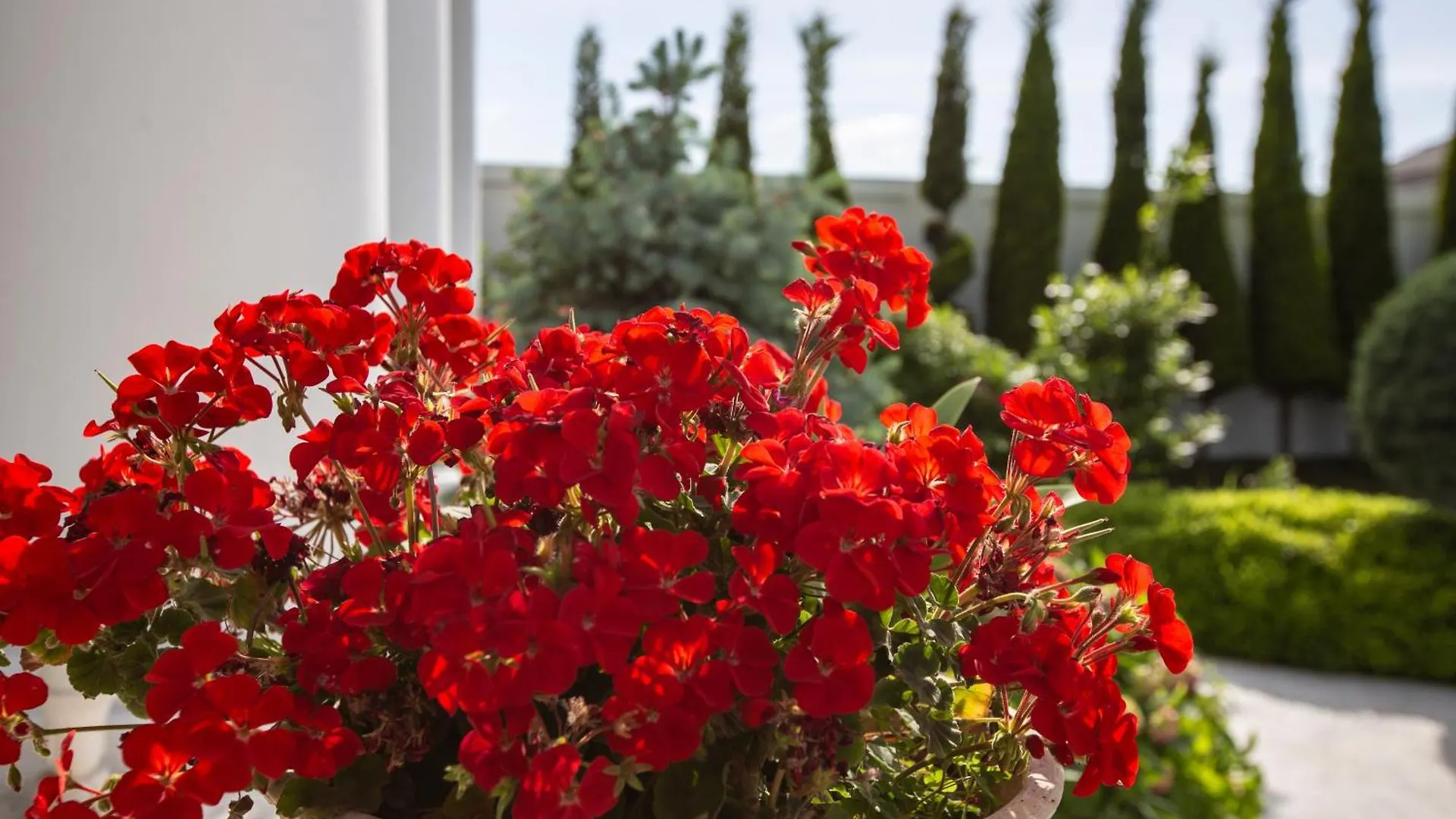 Guest house Villa Loreto Shagan